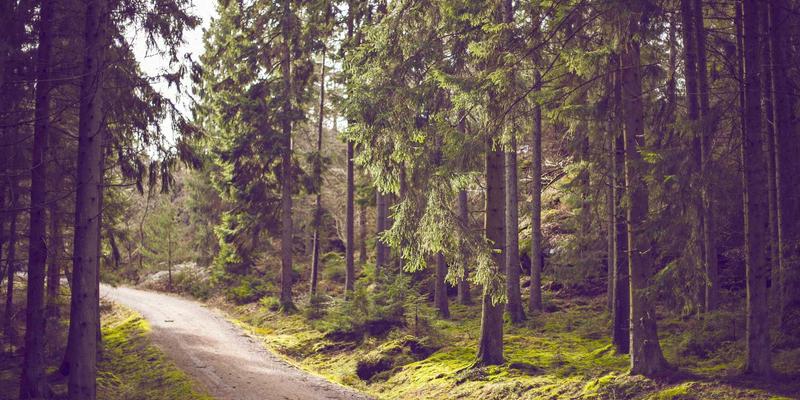 动力电池50:解码新能源时代的核心动力系统