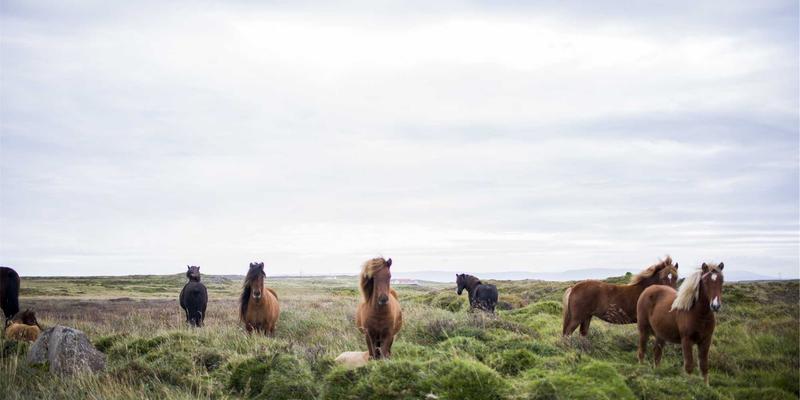 动力电池60：驱动未来的核心，储能解决方案的新纪元