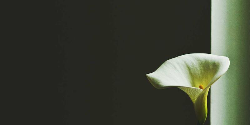 动力电池91:技术突破如何重塑新能源汽车的未来格局