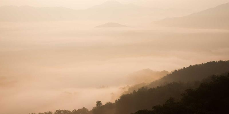 动力电池充放电策略优化：快充协议与电池健康度的动态平衡管理