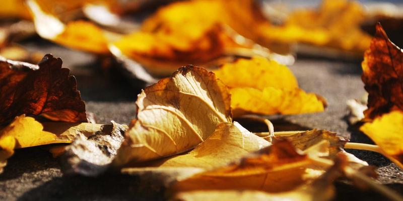 动力电池制造工艺革新：干法电极技术如何颠覆锂电池生产成本与能耗格局