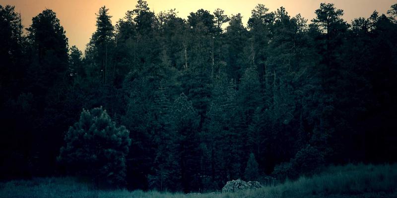 动力电池技术新突破：硅碳复合负极与预锂化如何重塑锂电池未来