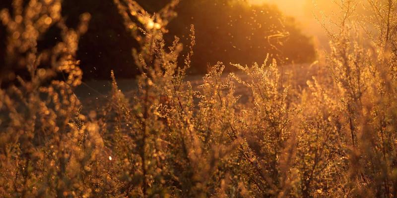 动力电池技术演进与未来趋势：从锂电池革新到系统级突破