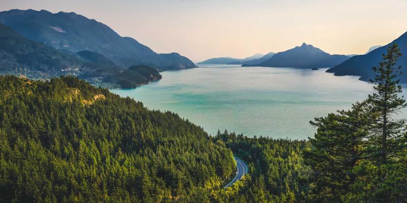 动力电池技术路线深度解析：锂离子电池系统与固态电池的竞争与未来