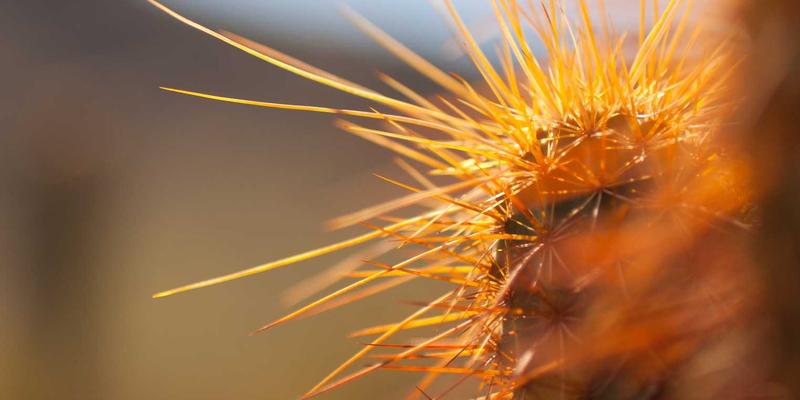 动力电池技术进阶：揭秘极片干燥工艺的能耗控制与均匀性提升方案