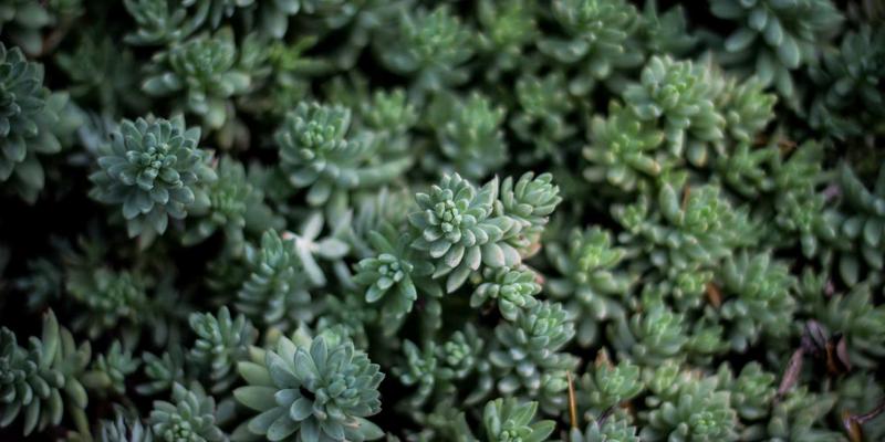 动力电池梯次利用的商业化破局：技术标准、经济模型与市场障碍深度解析