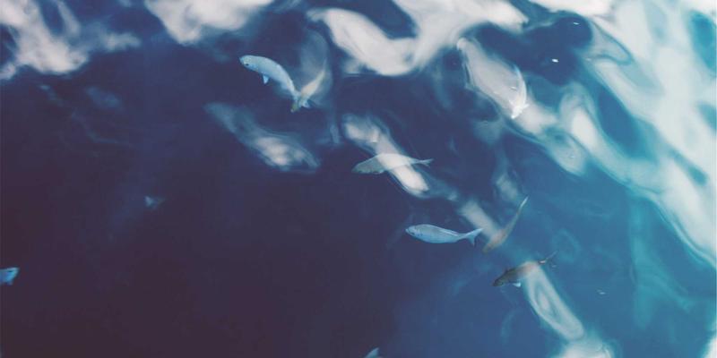 动力电池热失控预警与防护系统：构建从传感器到云端的多维安全屏障