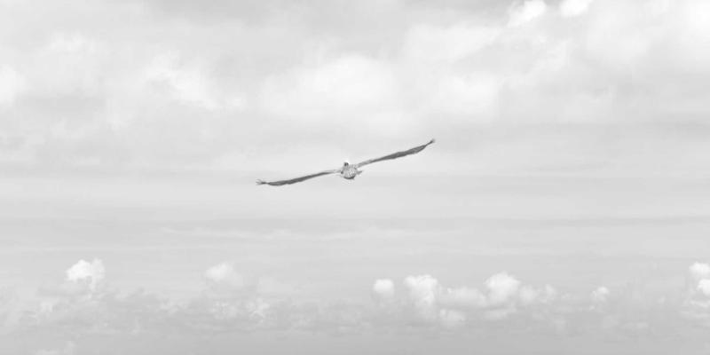 动力电池能量密度跃迁之路：从电芯设计革新到系统集成的技术全景