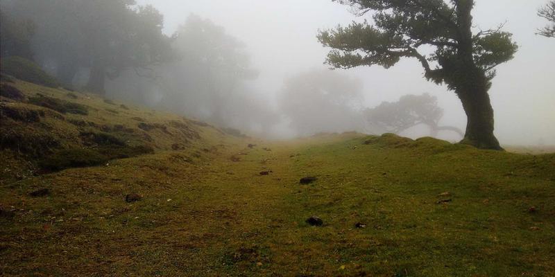 氢燃料电池与锂电池混合动力系统：商用车新能源技术的未来之路