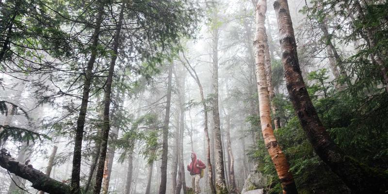 电池即服务（BaaS）商业模式解析：锂电池技术与换电租赁如何重塑电动汽车消费与资产管理