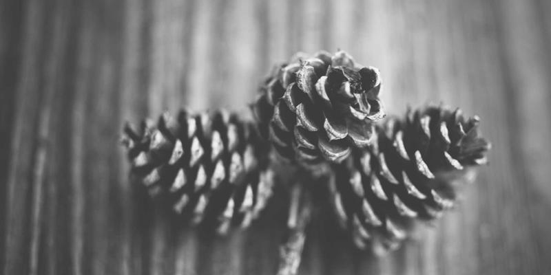 钠离子电池产业化机遇：成本优势与性能短板，能否撼动锂电池在低端市场的地位？