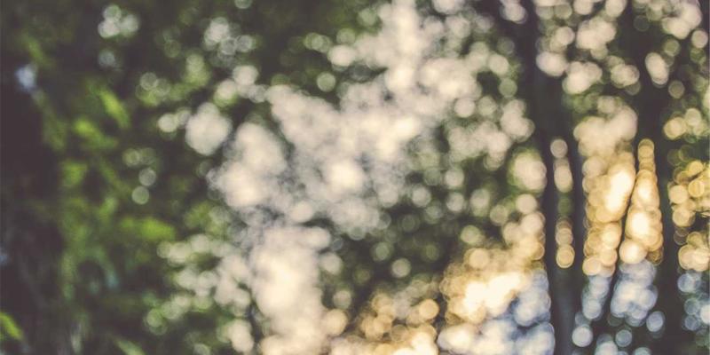 锂硫电池技术突破：攻克穿梭效应，打造长寿命动力电池与储能解决方案